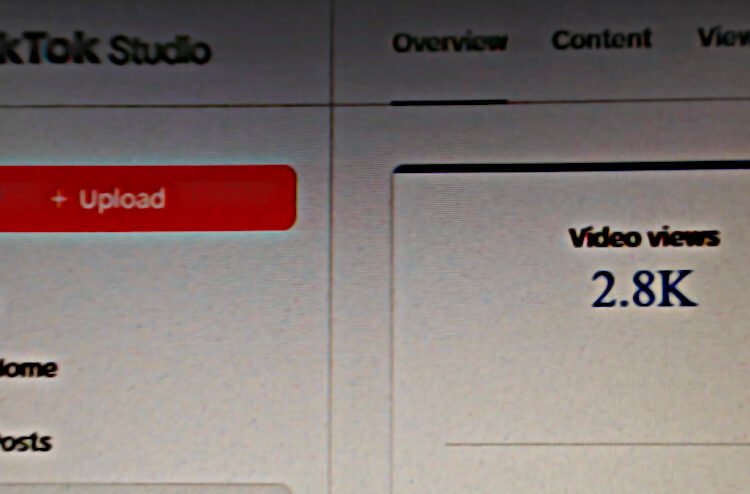The Wise Guide to Wealth is on TikTok
