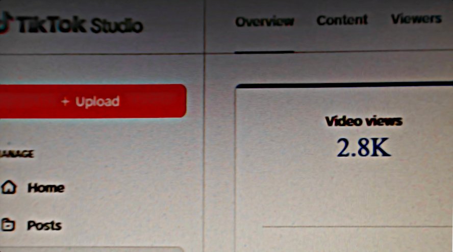 Wise Guide to Wealth on TikTok